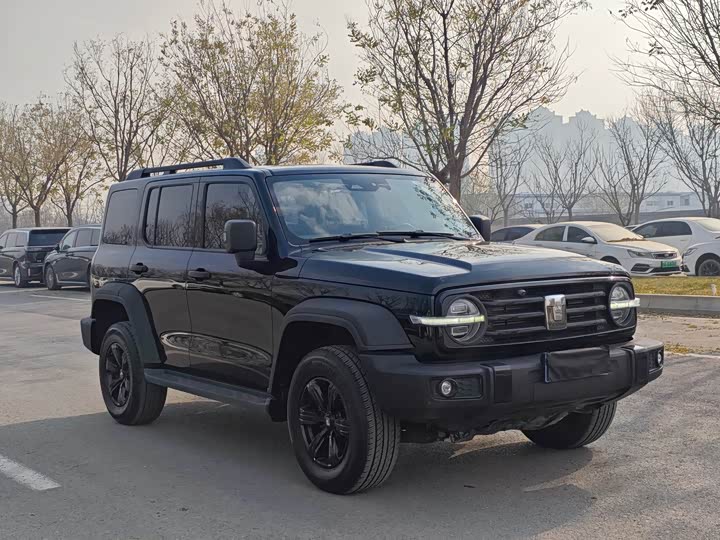 Фото 3 - Tank 300