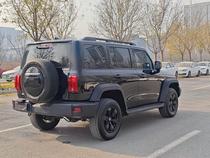 Фото 4 - Tank 300