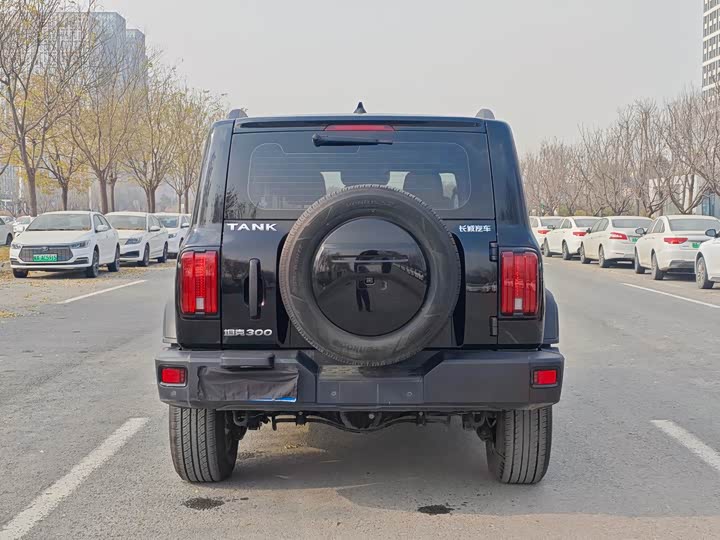 Фото 5 - Tank 300