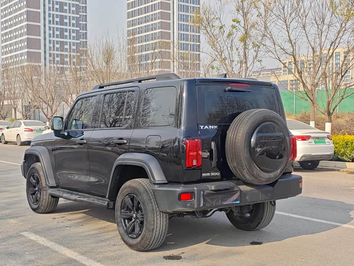 Фото 6 - Tank 300