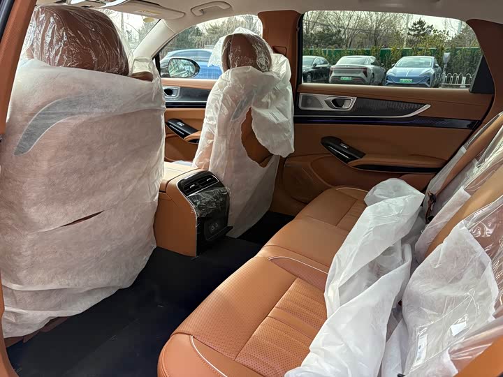 Фото 7 - Hongqi H9