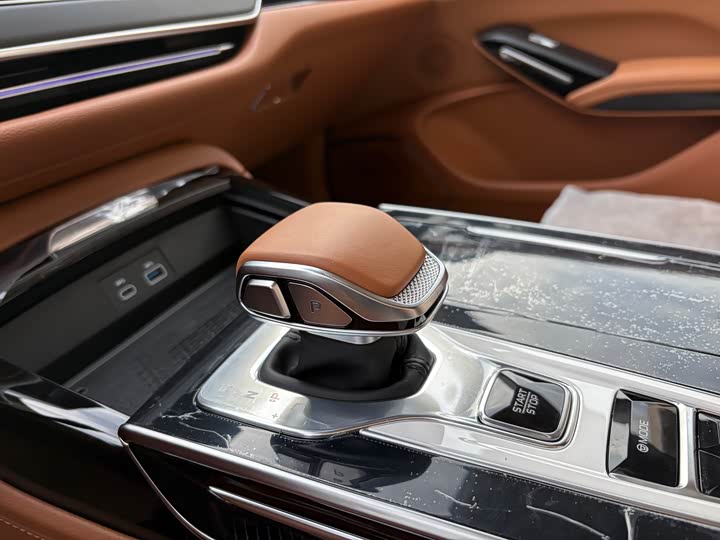 Фото 8 - Hongqi H9