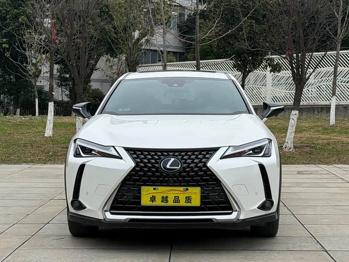 Фото 2 - Lexus UX