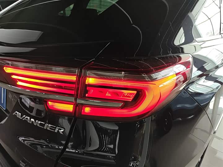 Фото 8 - Honda Avancier