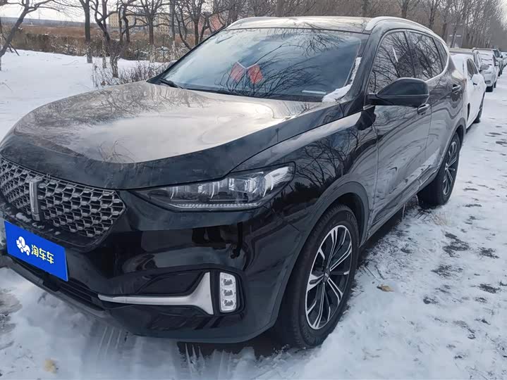 Фото 1 - Wey VV6