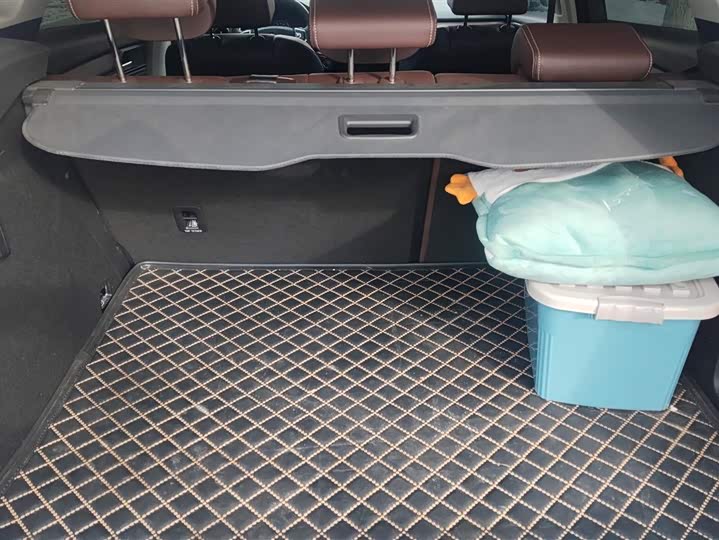 Фото 4 - Wey VV6