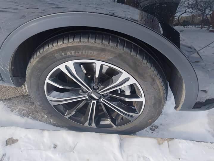 Фото 6 - Wey VV6