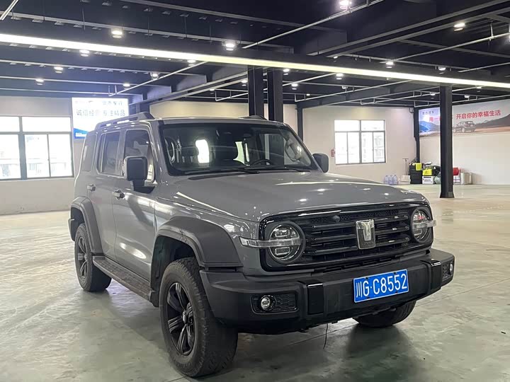 Фото 3 - Tank 300