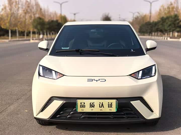 Фото 1 - BYD Seagull