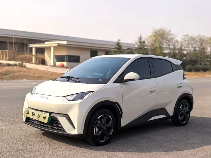 Фото 3 - BYD Seagull