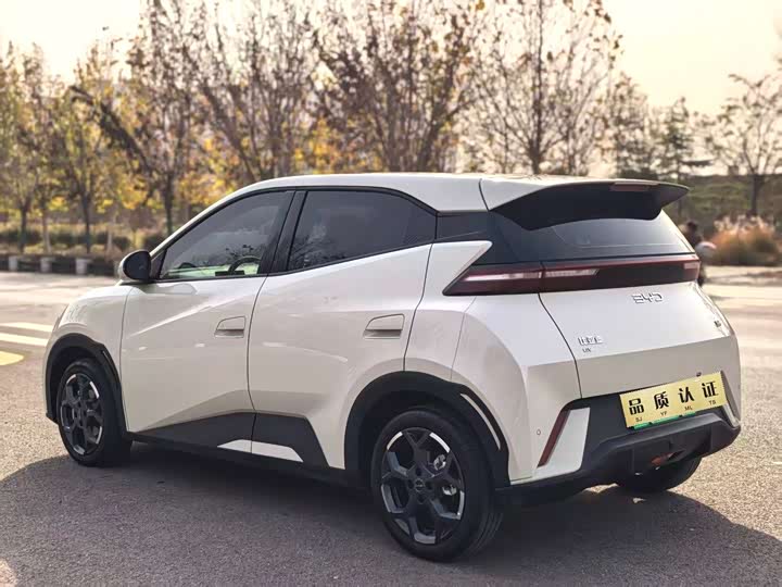 Фото 7 - BYD Seagull