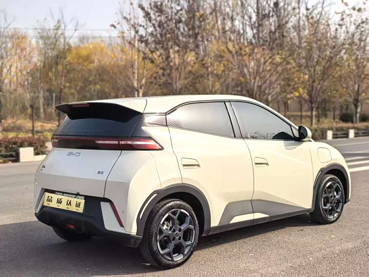 Фото 9 - BYD Seagull