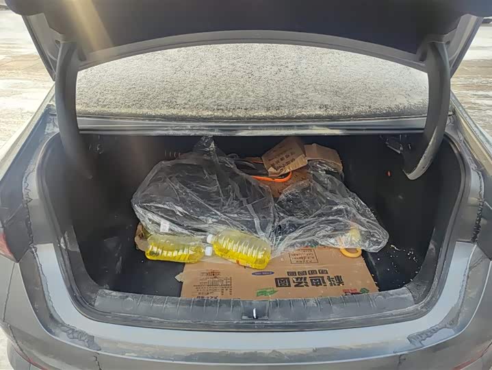 Фото 4 - BYD Qin Plus