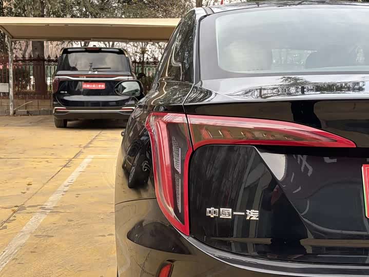 Фото 8 - Hongqi E-QM5