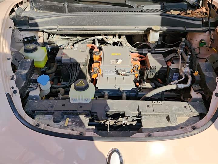 Фото 6 - Ora Good Cat (03)