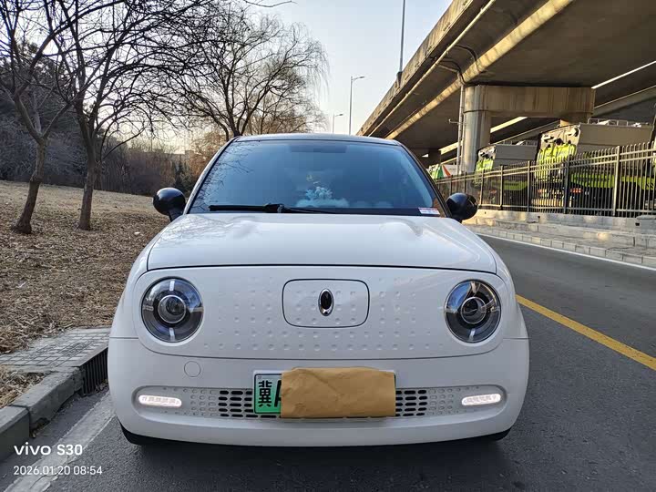 Фото 2 - Ora Black Cat