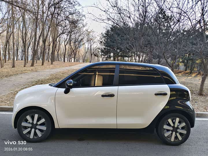 Фото 7 - Ora Black Cat