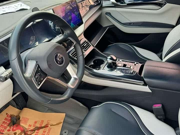 Фото 4 - BYD Qin Plus