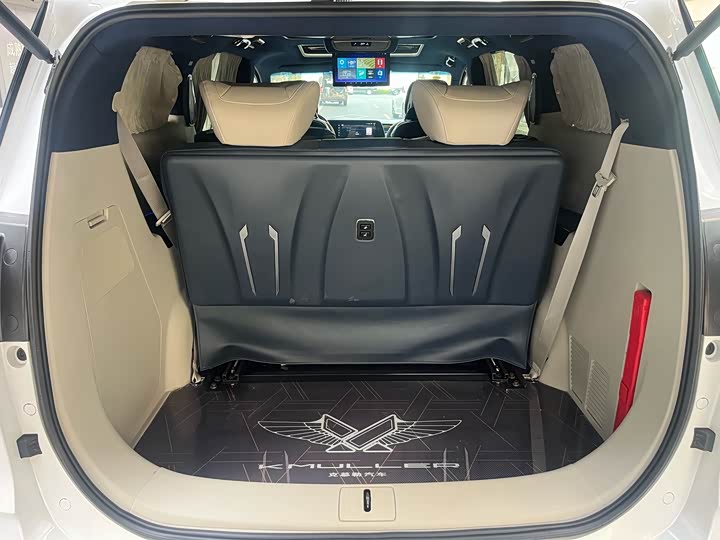 Фото 9 - Buick GL8 ES