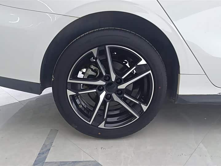 Фото 6 - Geely Binrui