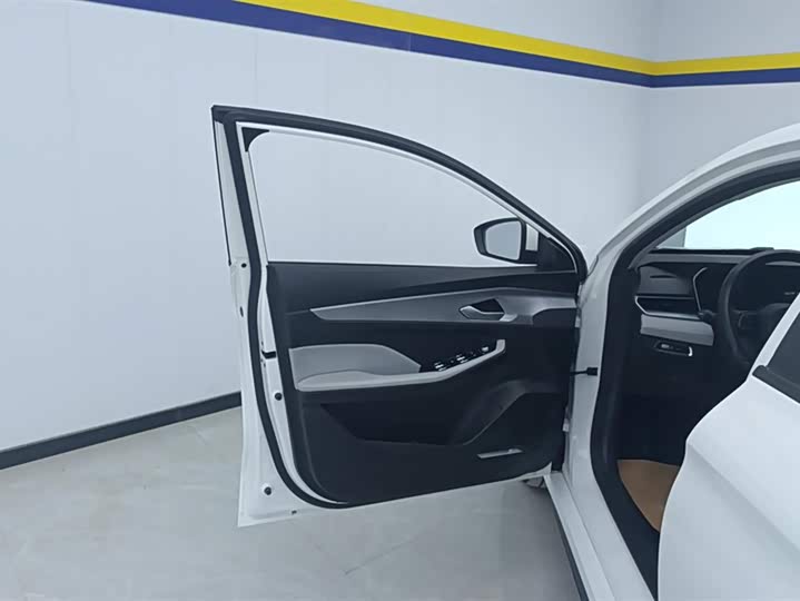 Фото 7 - Geely Binrui