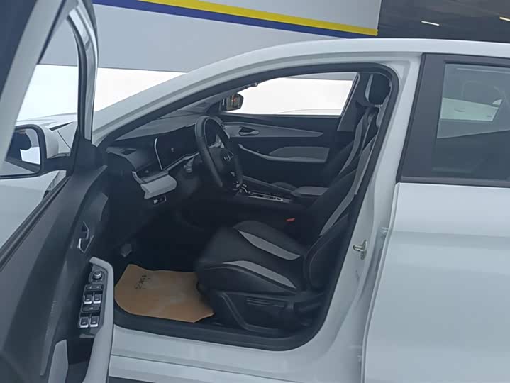 Фото 9 - Geely Binrui