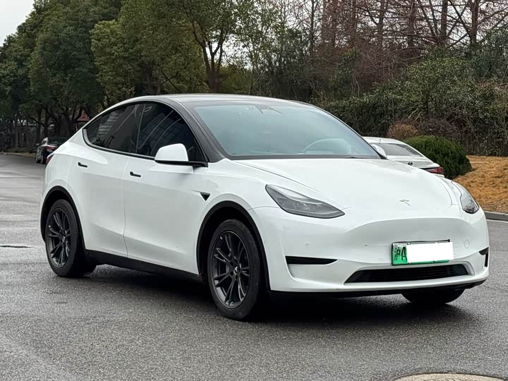 Фото 3 - Tesla Model Y