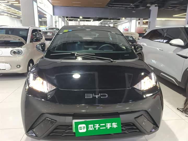 Фото 3 - BYD Seagull