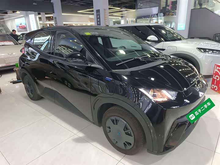 Фото 4 - BYD Seagull