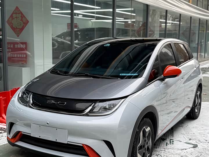 Фото 1 - BYD Dolphin