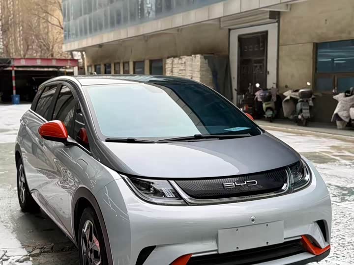 Фото 2 - BYD Dolphin