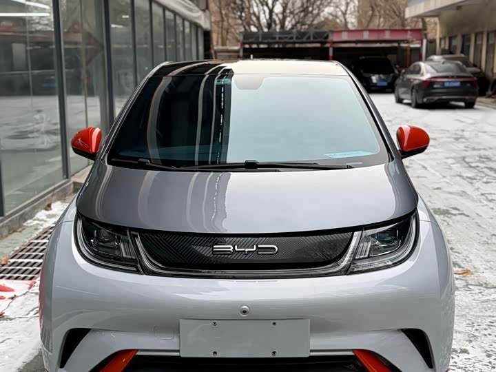 Фото 3 - BYD Dolphin