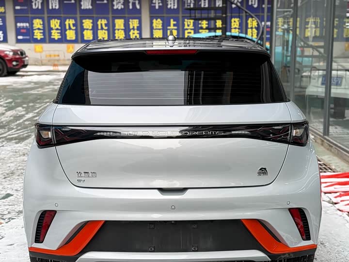 Фото 4 - BYD Dolphin