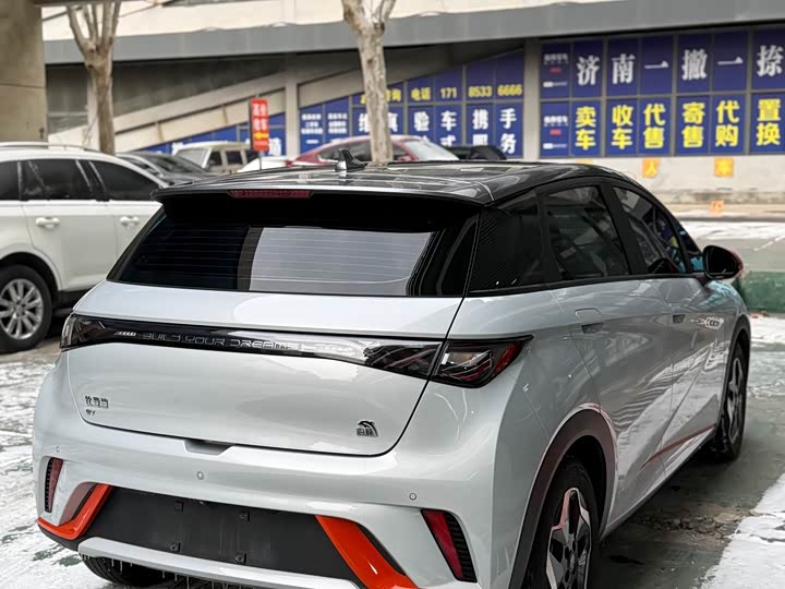 Фото 5 - BYD Dolphin