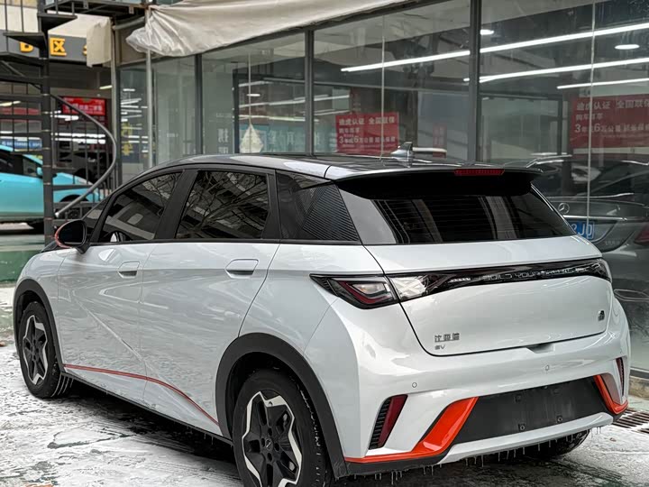 Фото 6 - BYD Dolphin