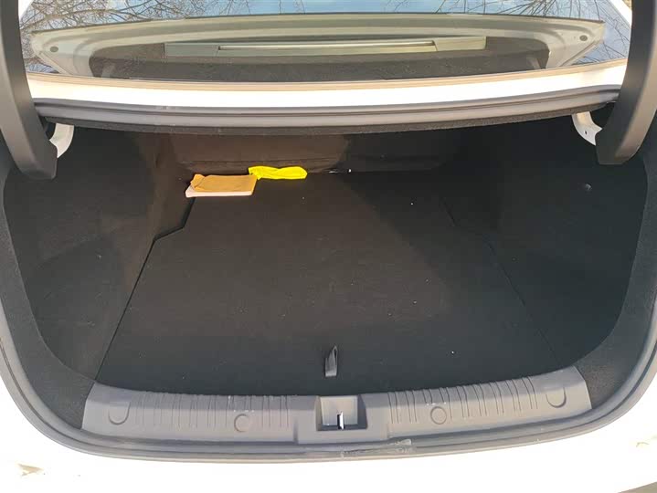 Фото 4 - BYD Qin L