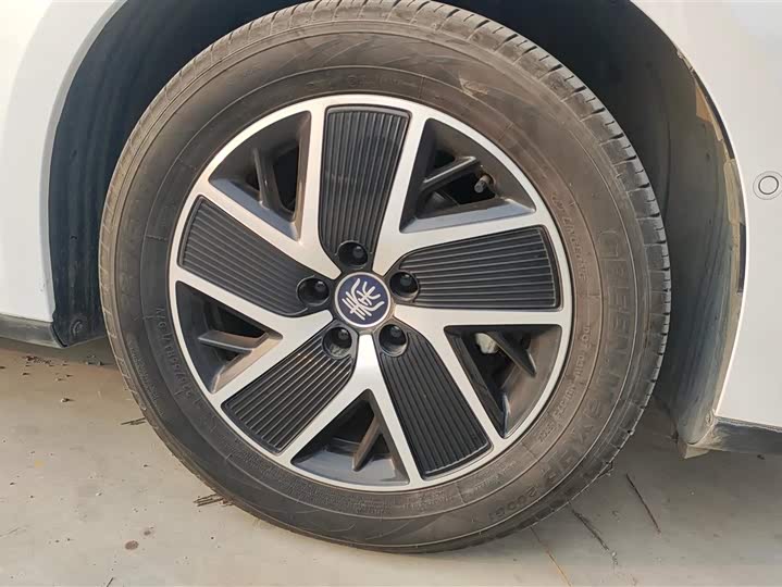 Фото 6 - BYD Qin L