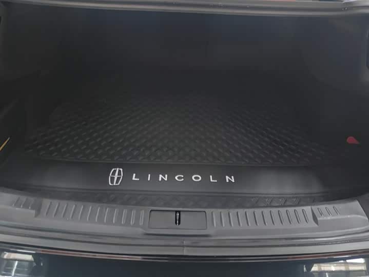 Фото 4 - Lincoln Z (Zephyr)