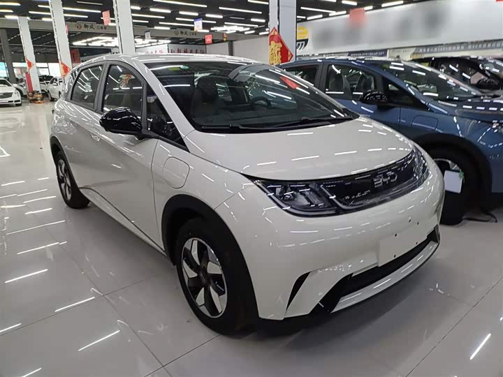 Фото 4 - BYD Dolphin