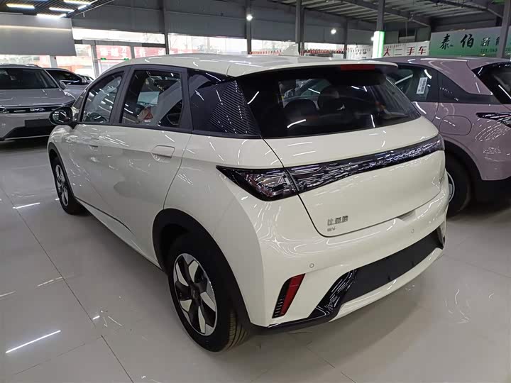 Фото 5 - BYD Dolphin