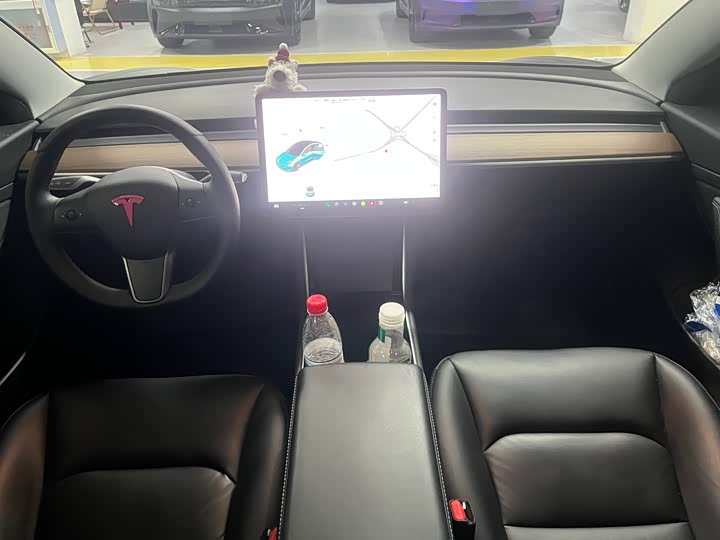 Фото 6 - Tesla Model 3