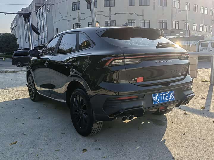 Фото 4 - Dongfeng Forthing T5 EVO