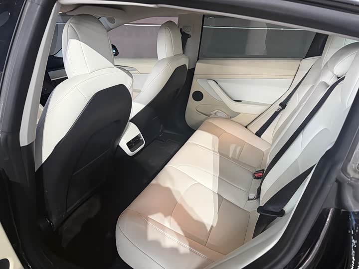 Фото 3 - Tesla Model 3