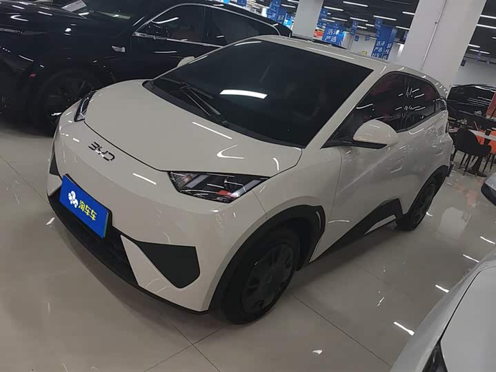 Фото 1 - BYD Seagull