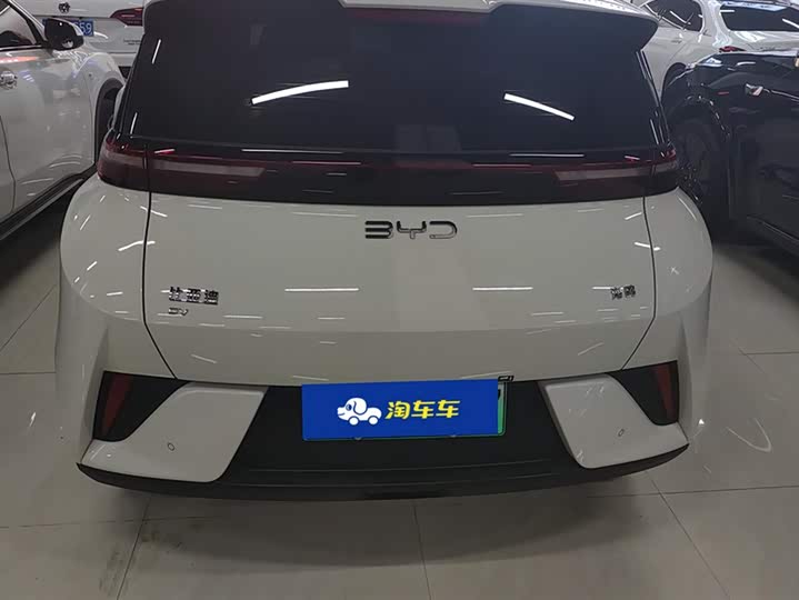 Фото 4 - BYD Seagull