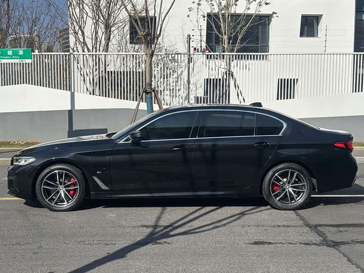 Фото 4 - BMW 5 Series Hybrid