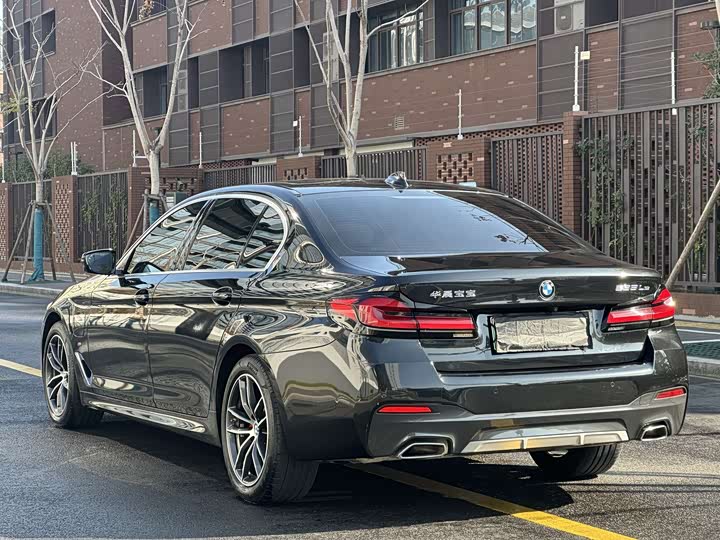 Фото 5 - BMW 5 Series Hybrid