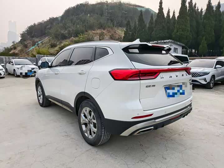 Фото 3 - Haval H6