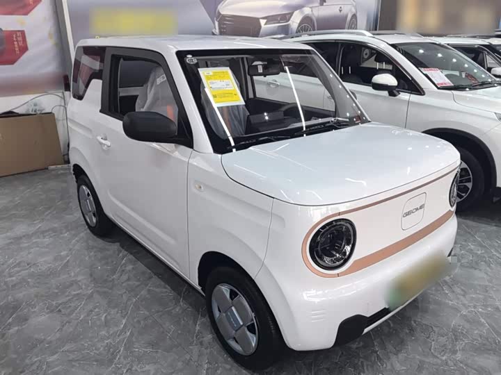 Фото 4 - Geely Galaxy Panda Mini