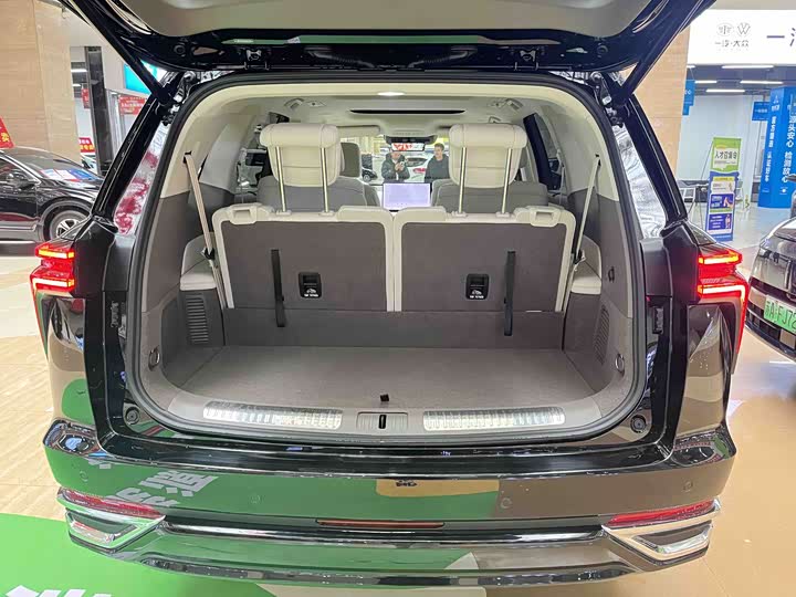 Фото 4 - Wey Lanshan